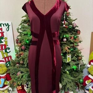 New York & Company Elegant Burgundy Velvet Dress